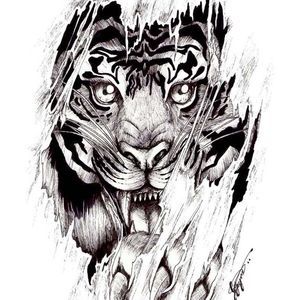 Meet your Posher, Darryl